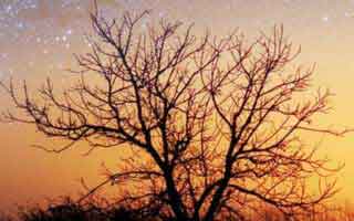 我后悔了，云开体育这事真的不能图快，建议收藏