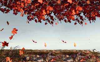 先停一下 爱游戏体育官网相关链接，我踩过的坑太真实：7个快速避坑