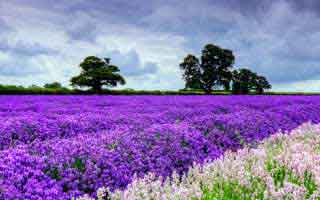 太离谱，爱游戏体育app这事真的不能图快，别把运气当能力