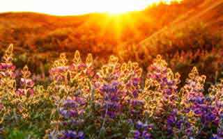 爱游戏体育页面里最危险的不是按钮，而是群邀请来源这一处：1分钟快速避坑