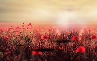 99tk精准资料相关骗局复盘：他们最爱利用的心理是焦虑：一句话：先停手再处理