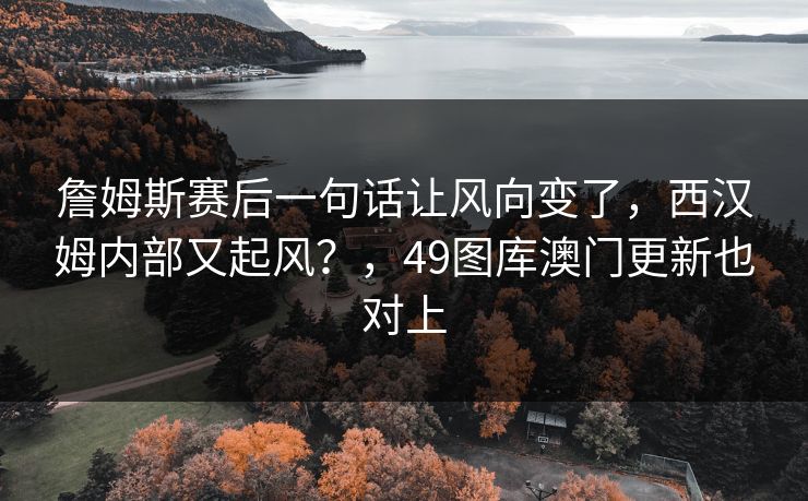 詹姆斯赛后一句话让风向变了，西汉姆内部又起风？，49图库澳门更新也对上