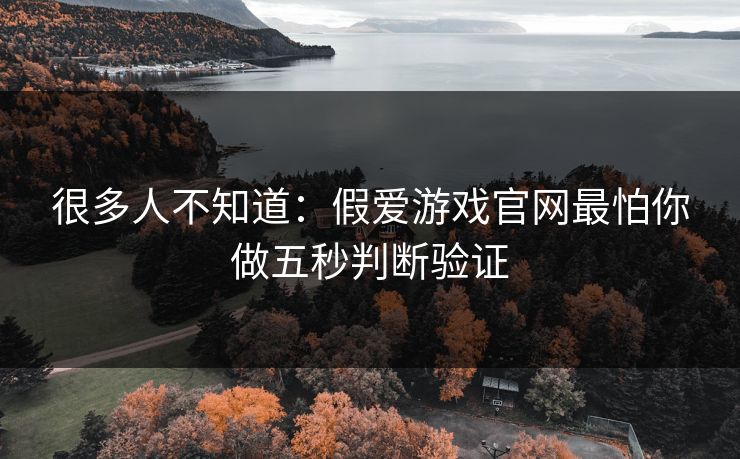很多人不知道:假爱游戏官网最怕你做五秒判断验证